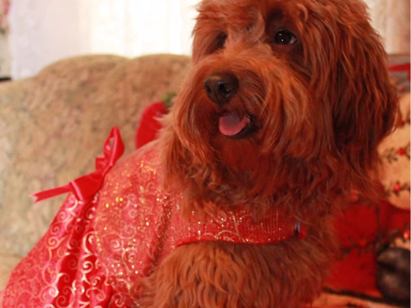 IMG_1916 cropped lower 1024x1242