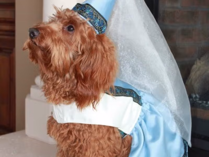 Rua-Halloween-Costume-291